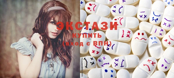 ECSTASY Богородицк